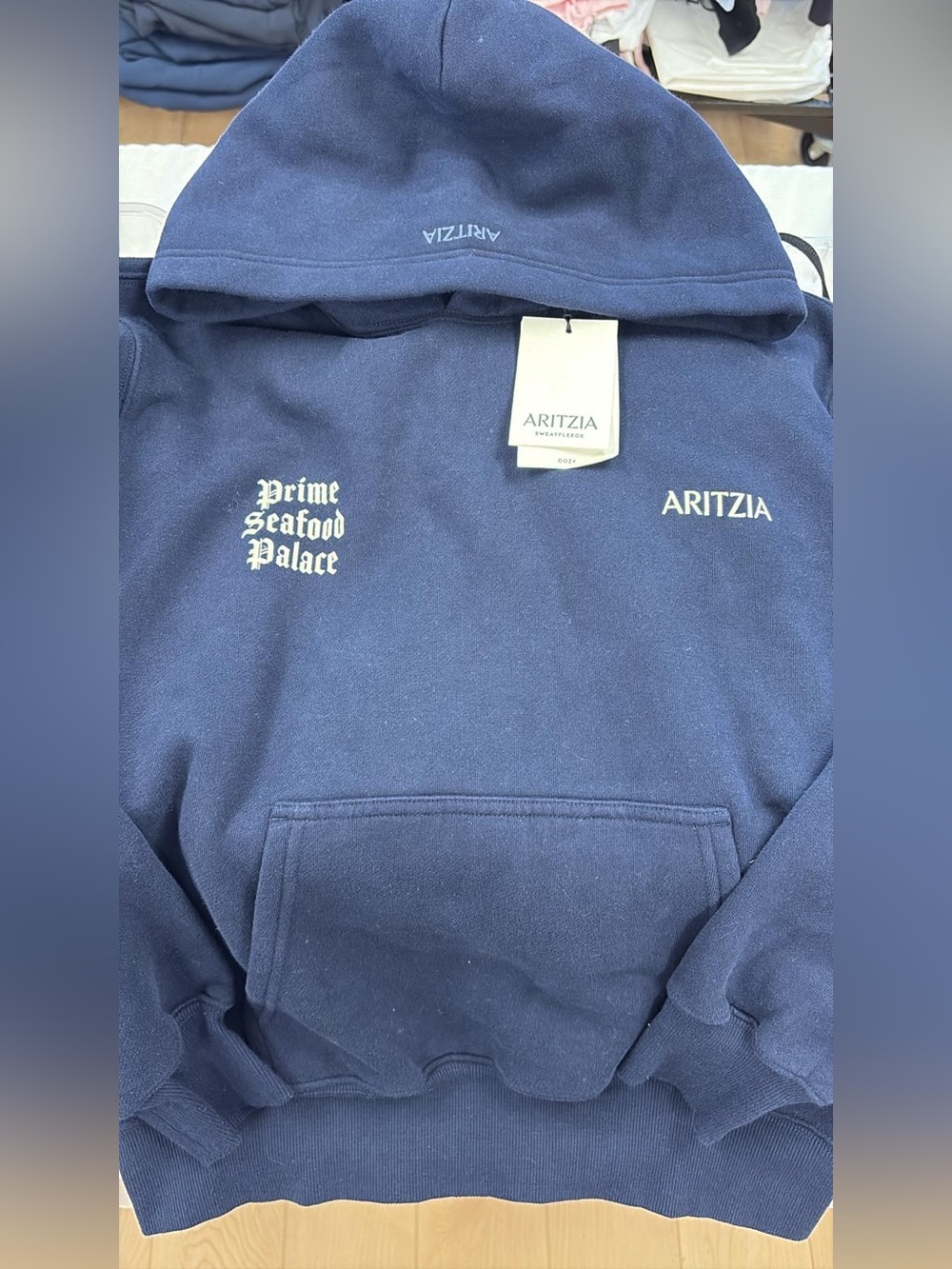 NWT aritzia special edition hoodie